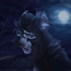 Meet your Posher, Ashera